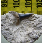 080x
