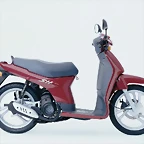 Honda Scoopy SH50 97-03
