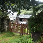 DSCN8362