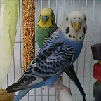 20170503_001818