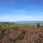 69-IMG_6468