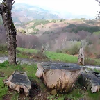 DSCN7855