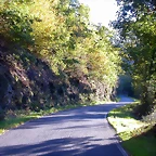 DSCN6496