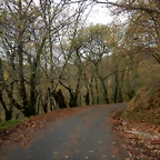 DSCN2903