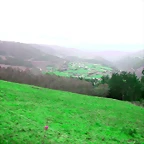 DSCN6294