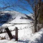 DSCN1866