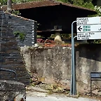 DSCN0731
