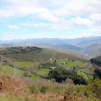 DSCN8815