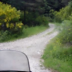 DSCN6371