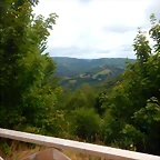 DSCN6580