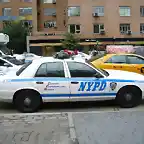 CV-NYPD