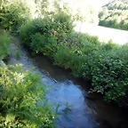 DSCN2423