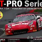 Cartell GT Pro - Cursa 2