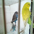 IMG_20190125_160318