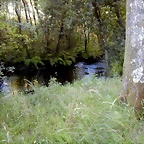 DSCN9728
