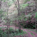 DSCN6273