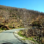 DSCN3689