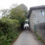 DSCN6817