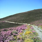DSCF2530