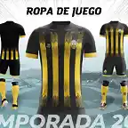 dep tachira