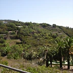 DSCN7464