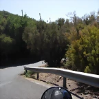 DSCN7467
