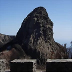 DSCN7475
