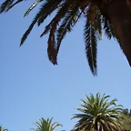 DSCN7463