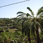 DSCN7465