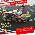 2016_12_02_RALLY_TTM_SCX_fiesta