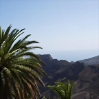 DSCN7491