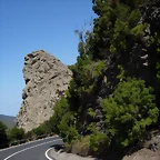 DSCN7477