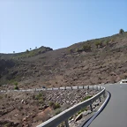 DSCN7500