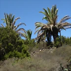 DSCN7414