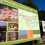 DSCN8610