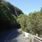 DSCN7397