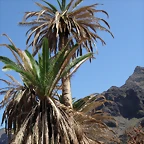DSCN7457