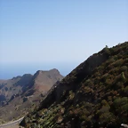 DSCN7484