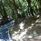DSCN7411