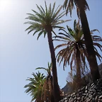 DSCN7461