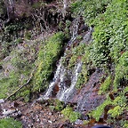 DSCN9067