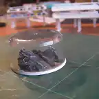 Mini Diorama 1 - 11