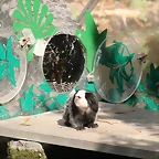 Zoo de Barcelona 05-09-11 169