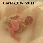 Mi primer piobebe 10-2-11