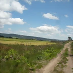 DSCN5378