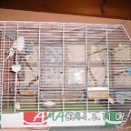 CIMG0300