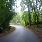 DSCN5331