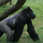 Zoo Leipzig 20-06-11 894