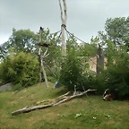 Zoo Leipzig 20-06-11 271
