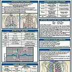 Nursing Laminate Reference Chart